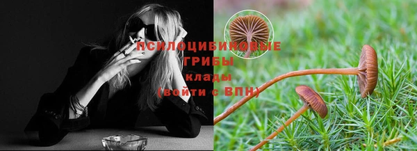 бошки Гусиноозёрск