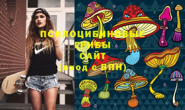 бошки Гусиноозёрск