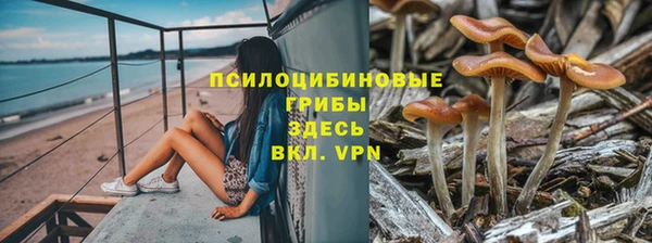 каннабис Гусев