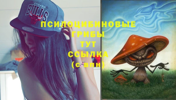 mix Гусь-Хрустальный