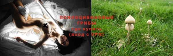 бошки Гусиноозёрск