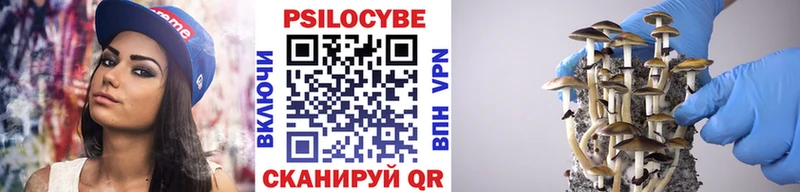 Псилоцибиновые грибы Magic Shrooms  Мытищи 
